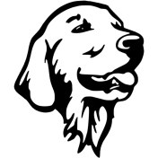 Resim Goldenretriever Duvar Dekor Sticker 40 x 48 cm 