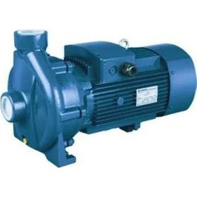 Resim Nortek Tsp-520 5.5 Hp Tonajlı Santrifüj Pompa - 2 Yıl Garantili 