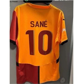 Resim Galatasaray Sane Isimsiz 5 Yıldızlı Yeni Sezon 2025.2026 Parçalı 4lü Set Forması Sane 