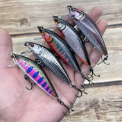 Resim 3D Baskılı Batan Minnows, 7 Cm, 10 Gram, 5 Renk Seçeneği, Akarsu Balıkçılığı İçin Tasarlanmış, Tilapia ve Bass İçin Yem Taklit Ediyor. 