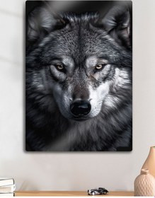 Resim Alfa Kurt - Metal Baskı Duvar Tablosu 