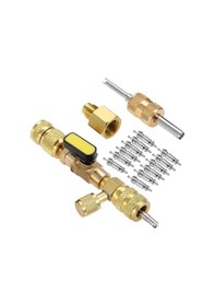 Resim Padalink 15 Parça Bakır Vana Çekirdeği Değiştirme Aracı, Sae 1/4 Ve 5/16 Port Çift Boyutlu, Altın Renkli Tamir Seti 