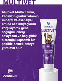 Resim zentiavet Kedi Malt Paste Multivet Kedi Maltı Kedi Vitamini Multivitamin Malt Macun Kediler için 100gr 
