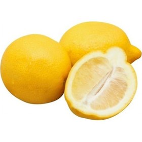 Resim Tüplü Aşılı Şeker Gibi Şeker Limon Fidanı-Meyveli 
