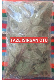 Resim 250 Gram İlaçsız Taze - Yaş Toplanmış Organik Isırgan Otu 