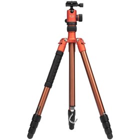 Resim FOTOPRO X-go Chameleon Profesyonel Tripod & Monopod 1575mm 