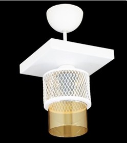 Resim Tekli Bal Cam Kafes Model Modern Plafonyer Avize U 
