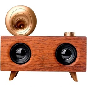 Resim Genel Markalar Gramafon Nostaljik Radyo Yüksek Ses Kalitesi USB TF Kart Aux 