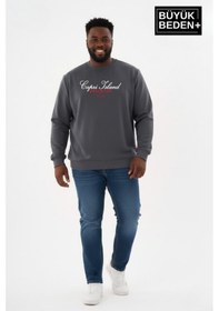 Resim Süperlife Erkek Büyük Beden Capri Island Baskılı Bisiklet Yaka İnce Sweatshirt Spr26bsw956-14 Gri 