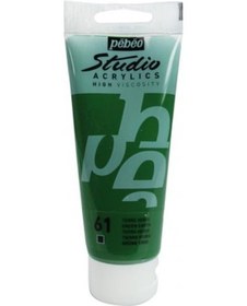 Resim Pebeo Studio Akrilik Boya 100 Ml. 61 Green Earth 