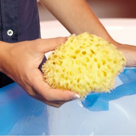 Resim OkBaby İnce Dokulu Doğal Banyo Süngeri Büyük 