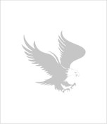 Resim 2MAKSTICKER Kartal Sticker 15x15 Cm 