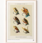 Resim Somon Sinekleri, Poster 