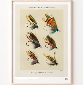 Resim Somon Sinekleri, Poster 