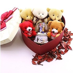 Resim Sevgiliye Hediye Özel Kalp Kutu İçinde Kar Küresi ve Yavru Ayıcıklar Hediye Kutusu A75 