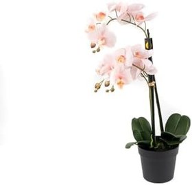 Resim Yapay Orkide Çiçeği, 65 cm, Açık Pembe, Saksılı Dekoratif Ev Aksesuarı 