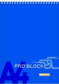Resim Gıpta Pro-block Spiralli Bloknot A6 Kareli 40 Yaprak 1499 