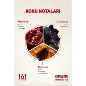 Resim Bargello 161 Kadın 50 ml EDP Parfüm Çiçeksi Koku ile Özel Hediye Seçeneği 