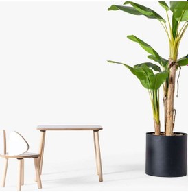 Resim Mobilya Montessori Çocuk Çalışma Aktivite Masası Ve 1 Sandalye Set Mickey Beyaz Ahşap 