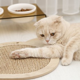 Resim Genel Markalar Doğal Sisal Kedi Tırmalama Matı Kedi Tırmalama Tahtası Kedi Otu Catnip Içerikli 