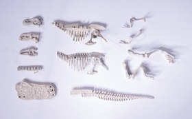 Resim Simba Dino İskelet Kazı Seti T-Rex 104342547 