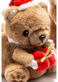 Resim Twigy Regalo Kadın Hayvanlı Panduf Kahverengi 36/41 CC0627 