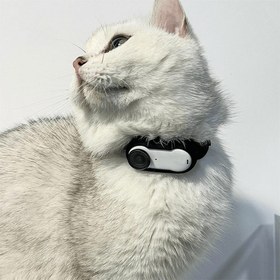 Resim Paw Portal Premium Edition Kedi Köpek Tasma Kamerası - Beyaz 