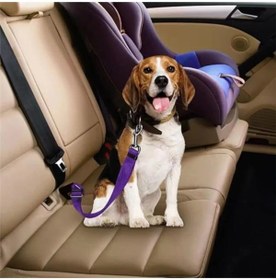 Resim Samorian Evcil Hayvan Araç Emniyet Kemeri Kedi Köpek Araba Oto Tasması Oto Aksesuarları (MOR) 