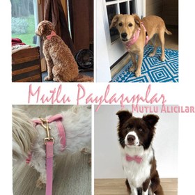 Resim Dog Collar Named Pink Velvet Collar 240723 - Bag / XS 