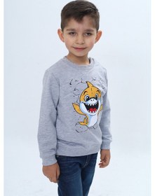 Resim Toontoy Kids Toontoy Erkek Çocuk Çıtçıtlı Köpek Balığı Baskılı Sweatshirt Gri Melanj 