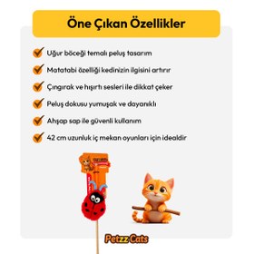 Resim PetzzCats LadyBird Matatabi ve Çıngırak Sesli Kedi Oltası Oyuncağı Kırmızı/Mavi 42 Cm 
