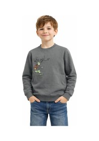 Resim Baglan Erkek Çocuk Önü Arkası Baskılı Sweatshirt Bgl-st05243 Yeşil 