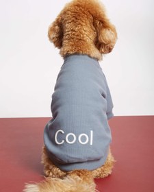 Resim Gri Köpek Kolej Ceketi - "Cool" Sloganlı - 4 / Mavi/Gri 