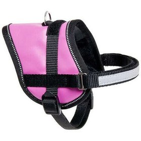 Resim Flamingo Eeny Meeny Köpek Göğüs Tasması 36-46 Cm - Pembe 