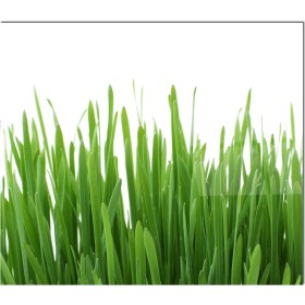 Resim Olinpa Cam Ocak Arkası Koruyucu | Çim Desenli 