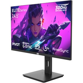 Resim DRAGOS ELITESeries E245FHD300 1ms FHD 300Hz 24.5" FreeSync G-Sync IPS Pivot Oyuncu Monitörü 