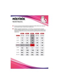 Resim Mistirik Portici Model Yüksek Bel Toparlayıcı Hamile Külot Siyah Renk Siyah 
