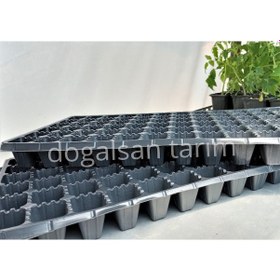 Resim 30 Adet Fide Viyol 72 Göz Fide Viyolü Fide Viyolleri Fidelik 