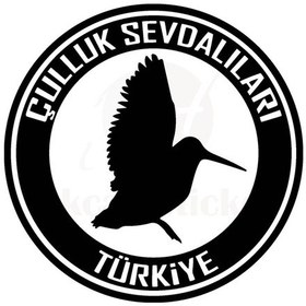 Resim Çulluk Sevdalıları Duvar Dekor Sticker 40 X 36 Cm 