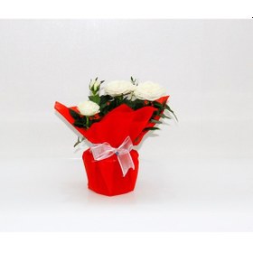 Resim Beyaz Mini Gül - Hediyelik Yılbaşı Çiçeği 