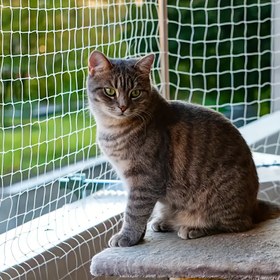 Resim 1 adet Dayanıklı PE Fileli Kedi Güvenlik Ağı, Balkon ve Pencere için Şeffaf Böcek ve Kuş Bariyeri, Güvenlik Tokaları ile İç ve Dış Mekan Kedi Çit Koruyucu 