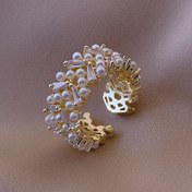 Resim Zirkonya Yaprak Açılı Yüksek Kalite Soğuk Rüzgar Kadın Moda Niche Tasarım İndeks Yüzük 