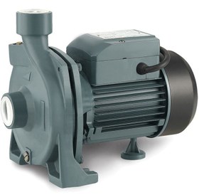 Resim Rainpump CPM170 Santrafuj Pompa (44m) 