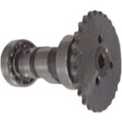 Resim Eksantirik Kam Mili Rmz Karaca 