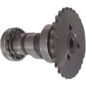 Resim Eksantirik Kam Mili Rmz Karaca 