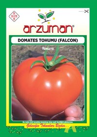 Resim Domates Tohumu Arzuman Falcon 