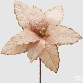 Resim Pembe Atatürk Çiçeği 