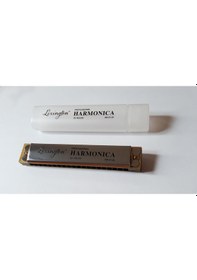 Resim Cremonia Hm0120 Profesyonel Mızıka 20 Delikli Enstrüman 