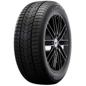 Resim Linglong Grip Master Winter 