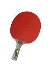 Resim Advance Masa Tenisi Raketi 